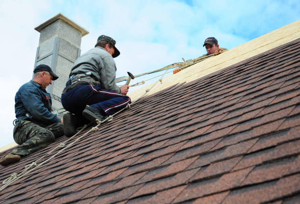 Best Metal Roofing Contractor  in Morganfield, KY