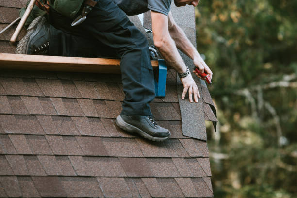Best Roof Gutter Cleaning  in Morganfield, KY